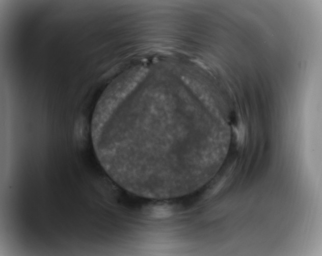 X0000089690228200707201726