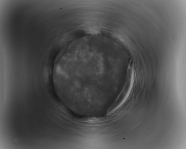 X0000089690229200707201726