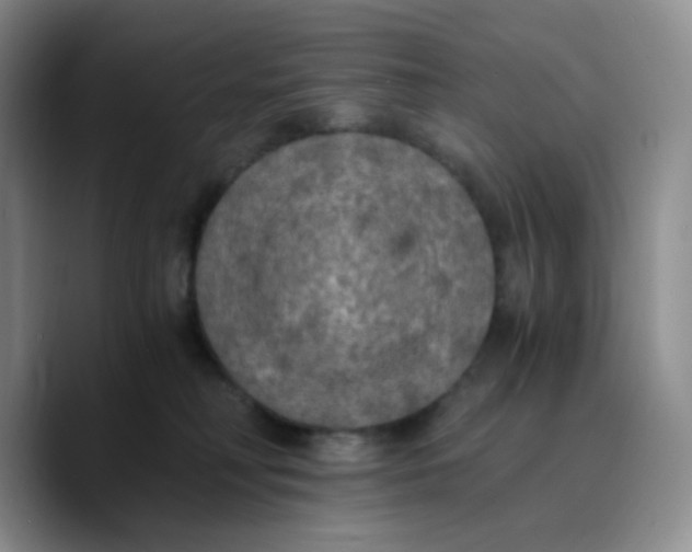 X0000089690230200707201726