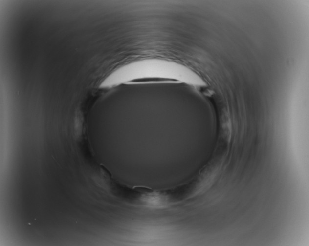 X0000089690231200707201726