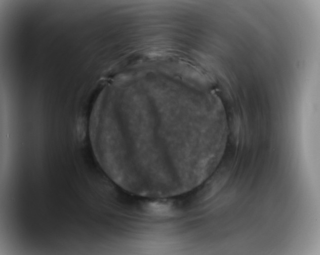 X0000089690232200707201726