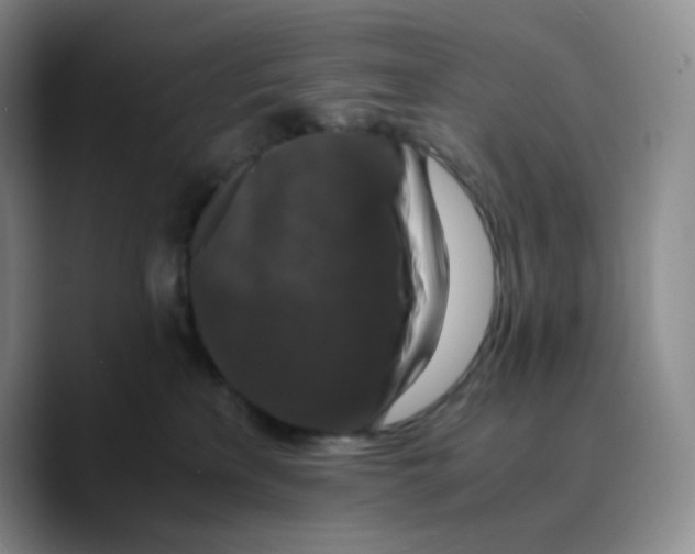X0000089690233200707201726
