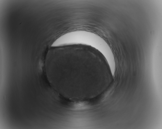 X0000089690235200707201726