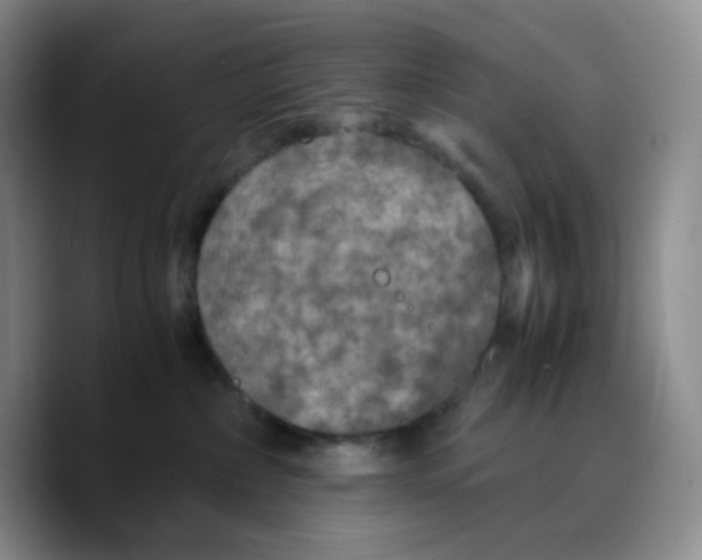 X0000089690236200707201726