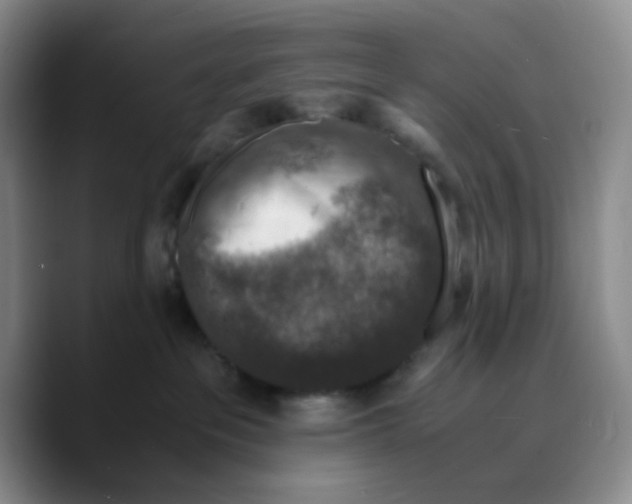 X0000089690237200707201726