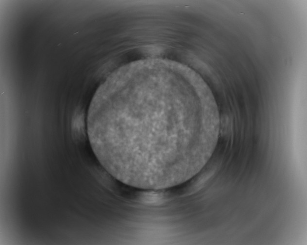 X0000089690238200707201726