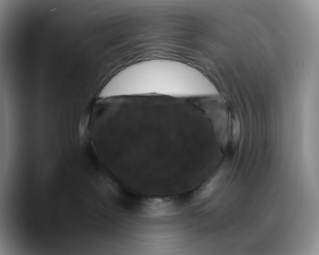 X0000089690239200707201726