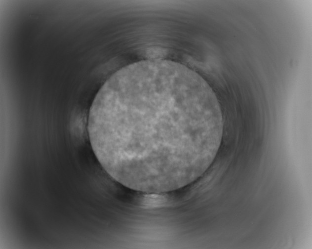 X0000089690240200707201726