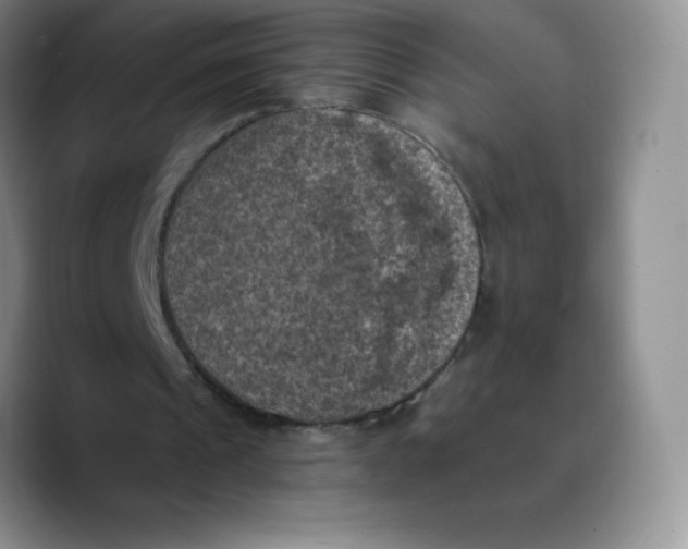 X0000089690241200707201726