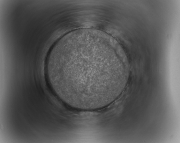X0000089690242200707201726