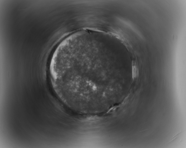 X0000089690243200707201726