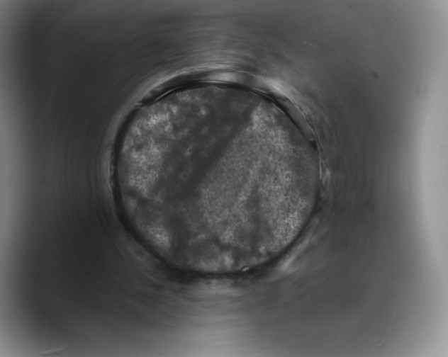 X0000089690244200707201726