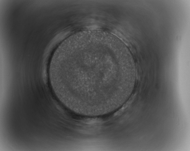 X0000089690245200707201726
