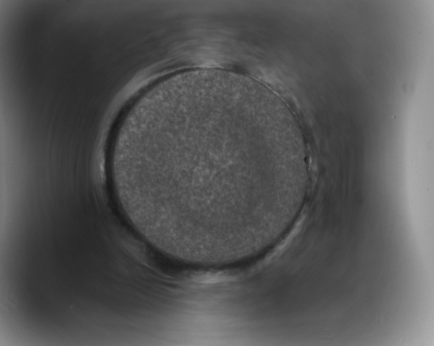 X0000089690246200707201726