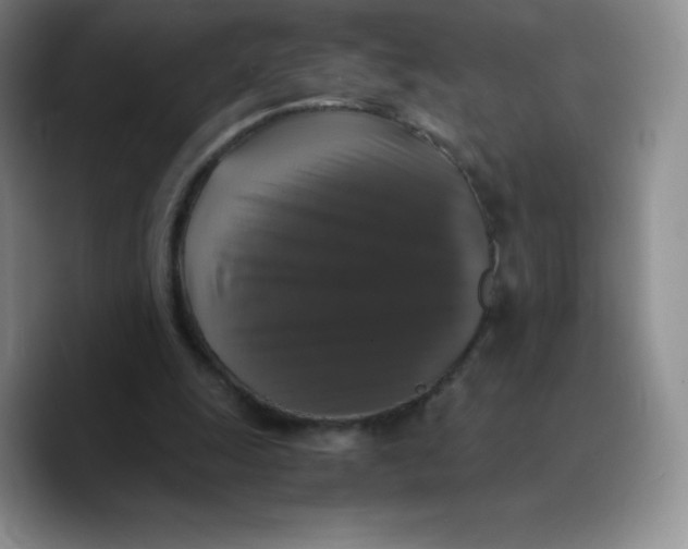 X0000089690247200707201726