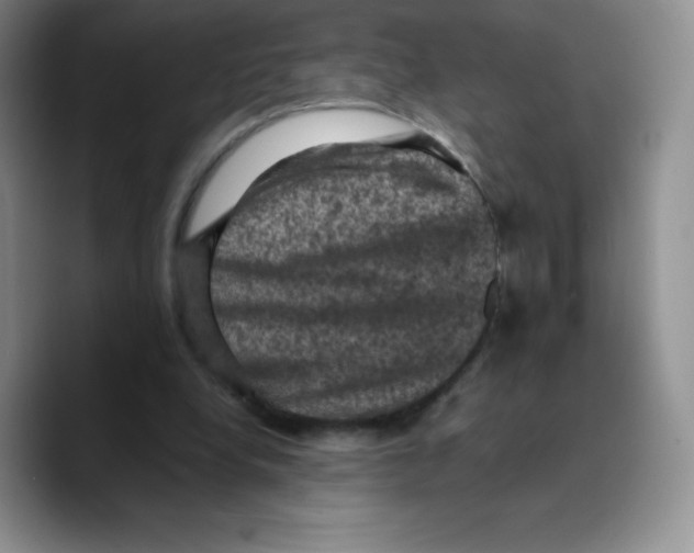X0000089690248200707201726