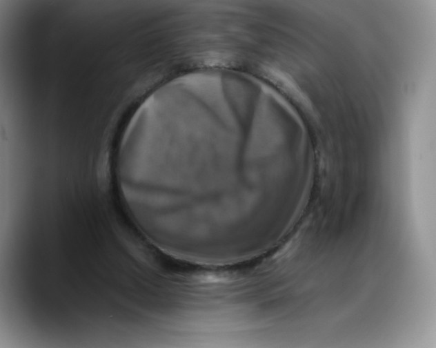 X0000089690250200707201726