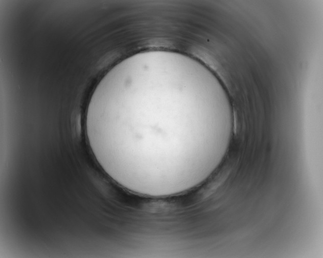 X0000089690253200707201726