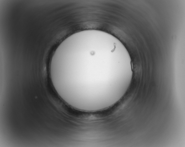 X0000089690254200707201726