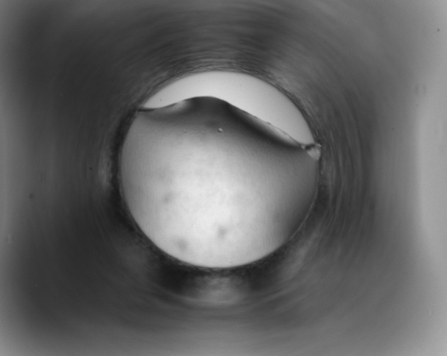 X0000089690255200707201726