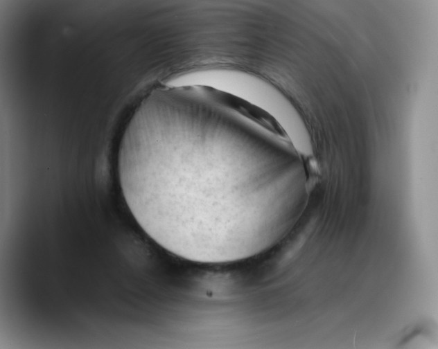 X0000089690256200707201726