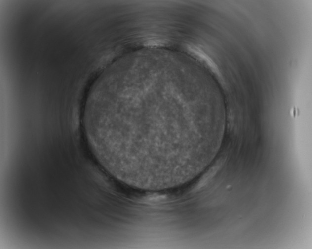 X0000089690257200707201726
