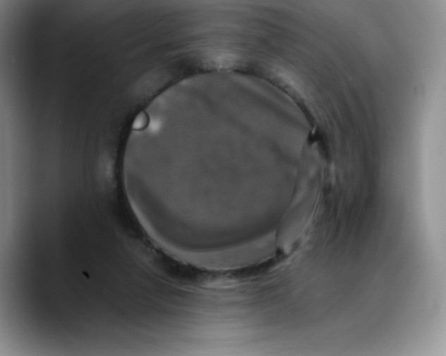 X0000089690258200707201726