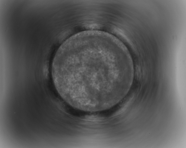 X0000089690259200707201726