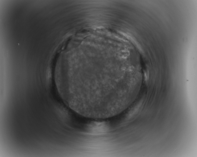 X0000089690260200707201726