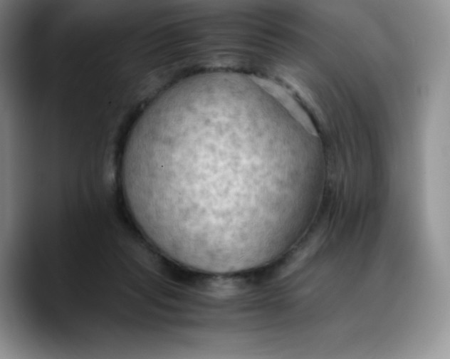 X0000089690261200707201726