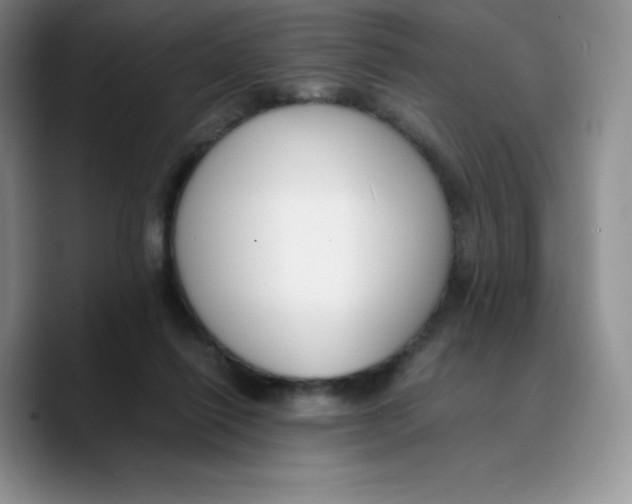 X0000089690262200707201726