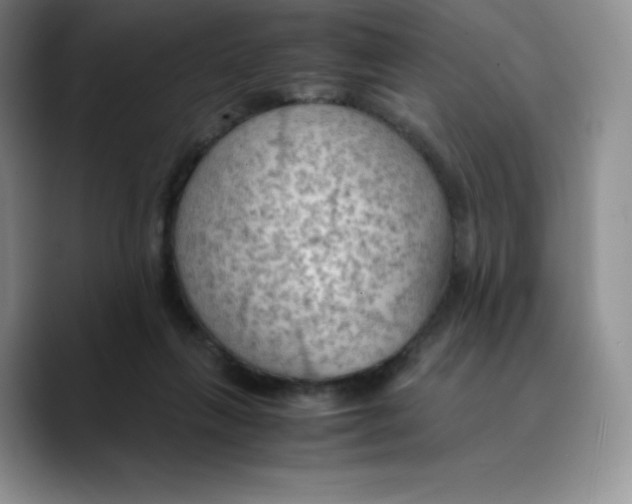 X0000089690263200707201726