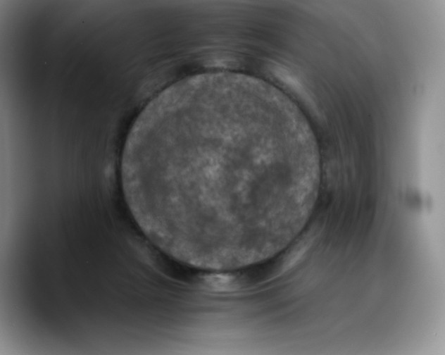X0000089690265200707201726