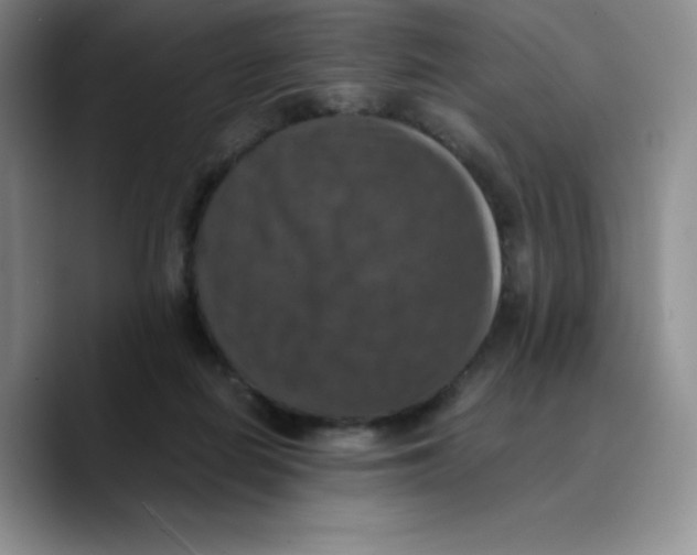 X0000089690266200707201726