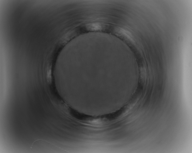 X0000089690267200707201726