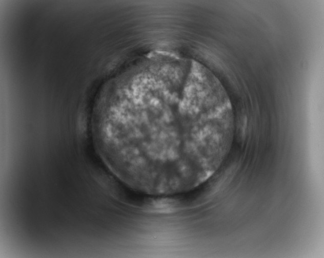 X0000089690268200707201726