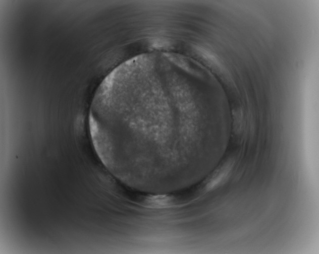 X0000089690269200707201726