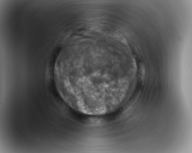 X0000089690272200707201726