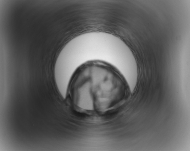 X0000089690276200707201726