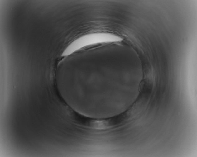 X0000089690277200707201726