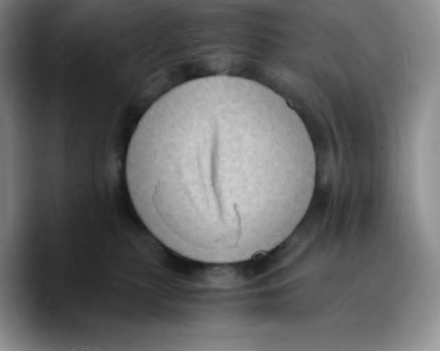 X0000089690279200707201726