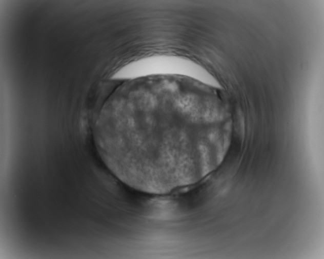 X0000089690280200707201726