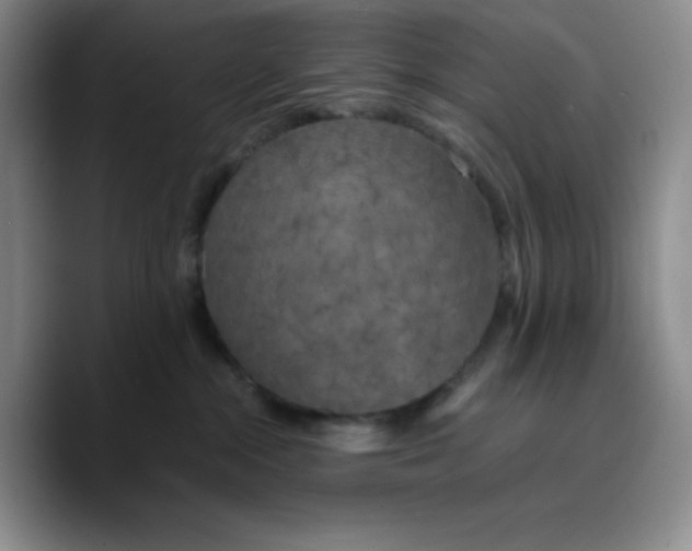 X0000089690284200707201726