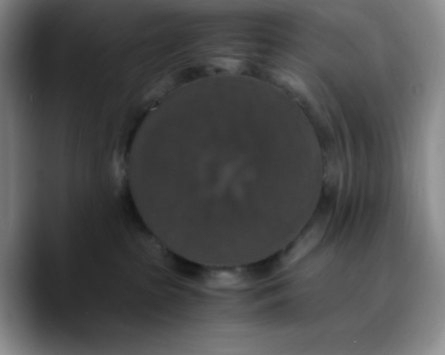 X0000089690285200707201726