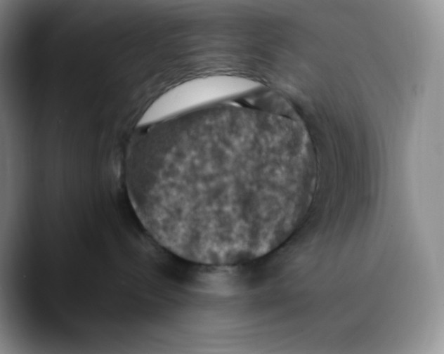 X0000089690288200707201726