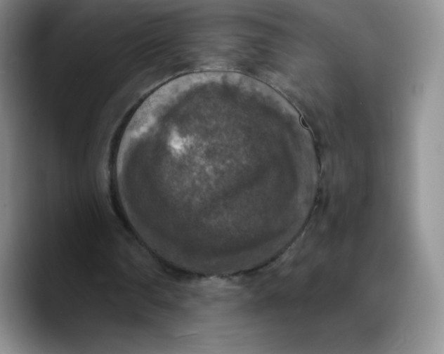 X0000089690290200707201726