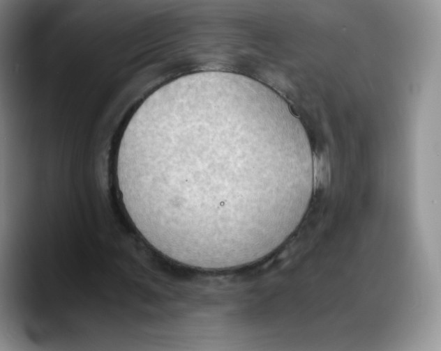 X0000089690291200707201726