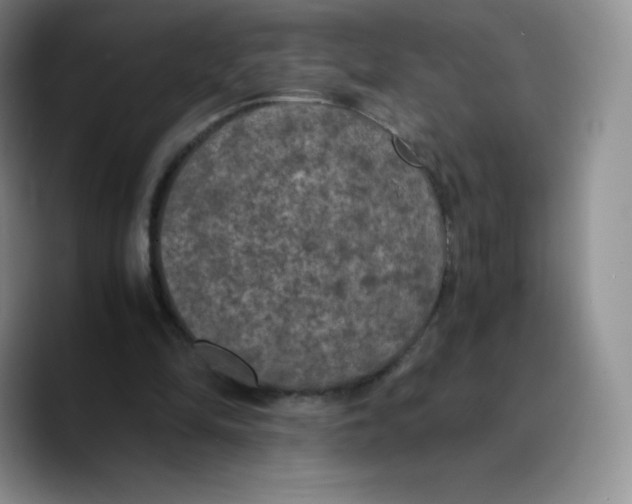 X0000089690294200707201726