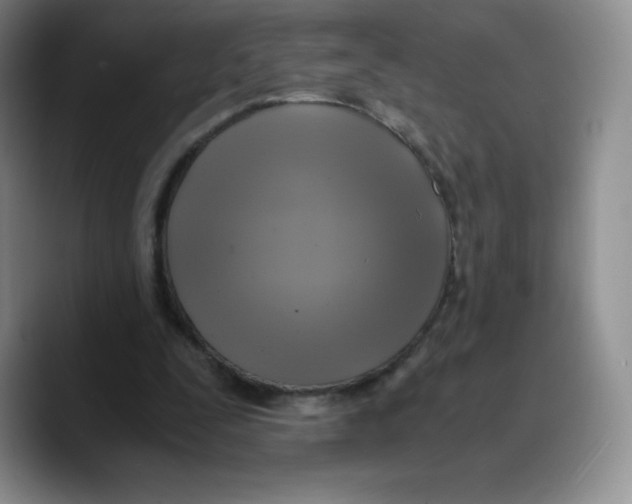 X0000089690295200707201726
