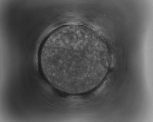 X0000089690296200707201726